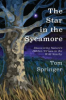 The_star_in_the_sycamore