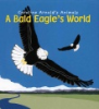 A_bald_eagle_s_world