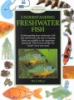 Understanding_freshwater_fish