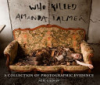 Who_killed_Amanda_Palmer
