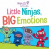 Little_ninjas__big_emotions
