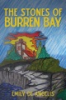 The_stones_of_Burren_Bay