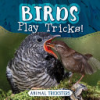 Birds_Play_Tricks_