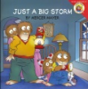Just_a_big_storm