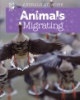 Animals_migrating