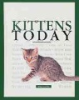 Kittens_today