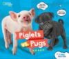 Piglets_vs__pugs