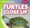 Turtles_close_up