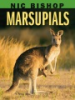 Nic_Bishop_marsupials