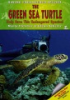 The_green_sea_turtle