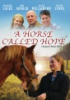 A_horse_called_Hope