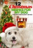 12_Christmas_wishes_for_my_dog