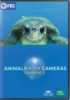 Animals_with_cameras