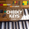 Cheeky_Keys