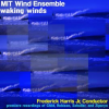 Mit_Wind_Ensemble__Waking_Winds