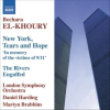 El-Khoury__New_York__Tears_And_Hope___The_Rivers_Engulfed