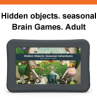 Hidden_objects