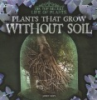 Plants_that_grow_without_soil