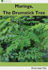 Moringa__the_Drumstick_Tree