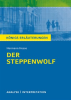 Der_Steppenwolf__K__nigs_Erl__uterungen