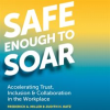 Safe_Enough_to_Soar