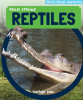Really_Strange_Reptiles