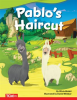 Pablo_s_Haircut