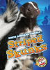 Striped_Skunks