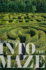 Into_The_Maze