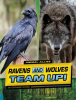 Ravens_and_Wolves_Team_Up_