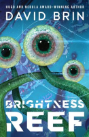 Brightness_Reef