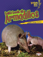 Let_s_Look_at_Armadillos