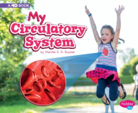 My_circulatory_system