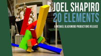 Joel_Shapiro__20_Elements