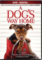A_dog_s_way_home