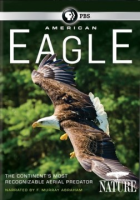 American_eagle