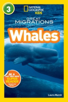 Great_migrations__Whales