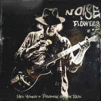 Noise_and_flowers