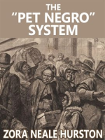 The__Pet_Negro__system