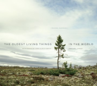 The_oldest_living_things_in_the_world