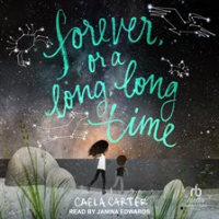 Forever__or_a_Long__Long_Time