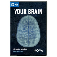 Your_brain