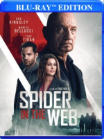 Spider_in_the_web