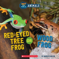 Red-eyed_tree_frog_or_Wood_frog