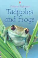 Tadpoles_and_frogs