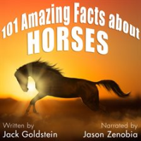 101_Amazing_Facts_about_Horses