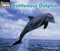 Bottlenose_dolphin