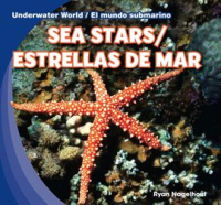 Sea_Stars___Estrellas_de_mar
