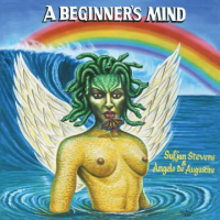 A_beginner_s_mind