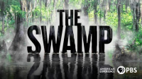 American_Experience__The_Swamp